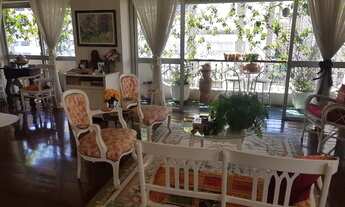 Imagem 3: MOEMA PASSAROS FORA DA ROTA DE AVIÕES