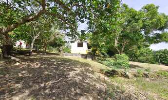 Imagem 3: Sítio pra Venda no Iranduba - Estrada do Caldeirão