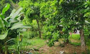 Imagem 2: CASA ESTADO BOA Casa com 4 dormitórios