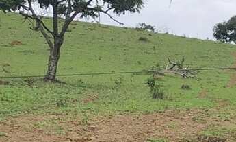 Imagem 2: Fazenda a venda em Alexânia - GO