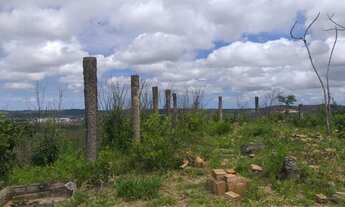 Imagem 4: Lote na Palestina 48947