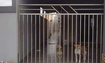 Imagem 5: Casa a venda Casa com 3 dormitórios