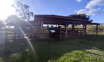 Imagem 2: Sítio 15 alqueires entre Ruilandia e Jaci