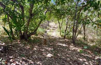 Imagem 5: Chácaras de dois hectares em Goiás velho rio vermelho!