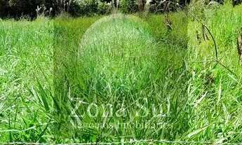 Imagem 3: Terreno em Bosque dos Eucaliptos - Araçoiaba da Serra