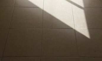 Imagem 5: Apartamento B.Nova Yorque/J.Comerciários