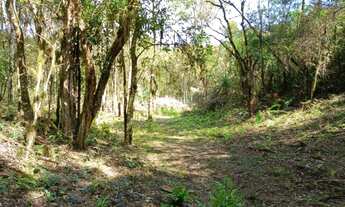 Imagem 4: Chácara 20.000 m² em Campo Magro