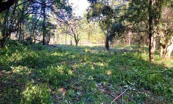 Imagem 3: Sítio Com Entrada De 4.900 E Parcelas De 650. ROB:403