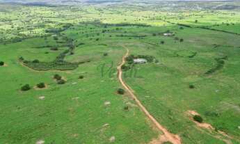 Imagem: Fazenda à venda 172 hecteres, Jeremoabo