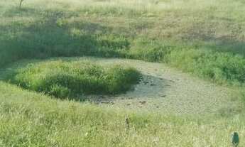 Imagem 6: Excelente oportunidade de comprar sua fazenda de 90 t, às margens da BR 324 N