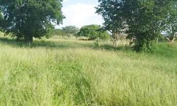 Imagem 4: Excelente oportunidade de comprar sua fazenda de 90 t, às margens da BR 324 N