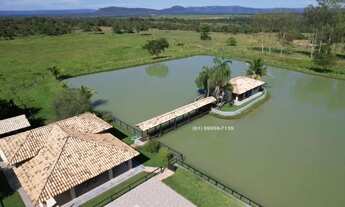 Imagem 3: Vende-se Fazenda em Buritis MG, 180km de Brasília - Um Paraíso de 159 Hectares