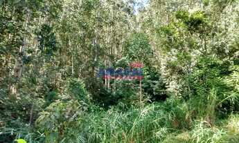 Imagem 2: Sitio à venda em Santa Branca, Mombuca