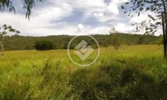 Imagem 6: FAZENDA de 36.1 ALQUEIRES MUNICÍPIO DE SÃO MIGUEL DE PASSA QUATRO codigo: 94549