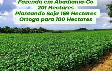 Imagem: Fazenda em Abadiânia-Go - 201 Hectares