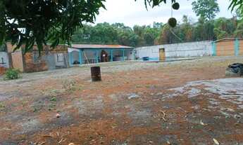 Imagem 2: Terre na reserva do Itapiraco