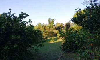 Imagem 9: Sítio, Região de Porto Feliz SP