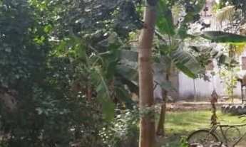 Imagem 2: Vendo Terreno Vila Guimaraes - 484,75mt