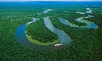 Imagem 2: AMAZONAS: Área a venda de 10 mil hectares, com a documentação completa