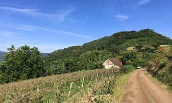 Imagem: Sítio / Chácara para Venda em Picada Café