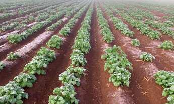 Imagem: R$120 milhões Fazenda de 627 alqueires