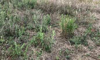 Imagem 7: Terreno no residencial Lisboa - Itapetininga