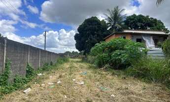 Imagem 6: VENDE-SE OU ALUGA-SE ÁREA NA BR-104 (Sentido Maceió