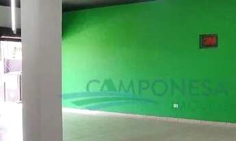 Imagem 3: Barracão para alugar, 358 m² por R$ 12.226,00/mês - Vitória - Londrina/PR