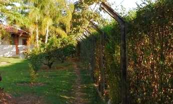 Imagem 15: Sítio, Região de Porto Feliz SP