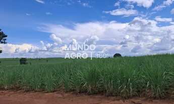 Imagem: 17 alqueires com 17 de cana 42 ton/ano para