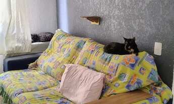 Imagem 2: Apartamento com 2 Quarto(s) e 1 banheiro(s) para Alugar, 40 m² por R$ 1200 / Mês