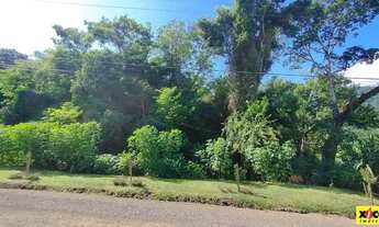 Imagem: Terreno para Venda em Picada Café, Floresta