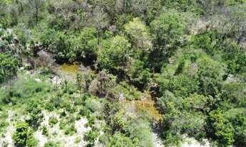 Imagem 3: Chácara em Cavalcante -GO