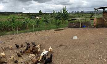 Imagem 7: CHÁCARA SETOR AGUILHADA SÃO SEBASTIÃO