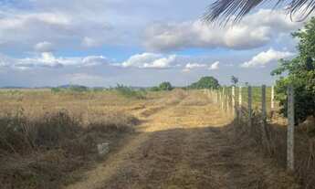 Imagem: Vendo Lotes / Mini Chácaras - Arapiraca/AL