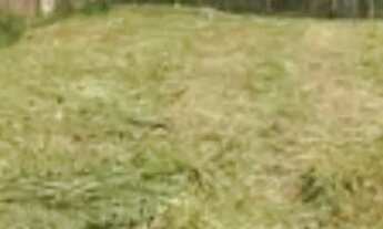 Imagem 3: Terreno incra 9, oportunidade