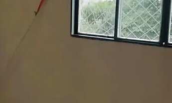 Imagem 6: Apartamento para alugar Prado Belo Horizonte