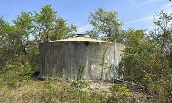 Imagem 6: Sítio com Suíte e Poço Artesiano - Oportunidade Única!