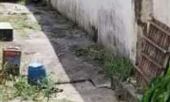 Imagem: Venda de Casas / Padrão na cidade de São