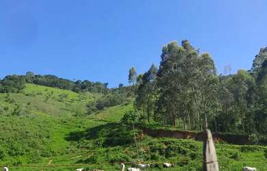 Imagem: Vendo Área Rural em excelente localização