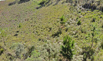 Imagem 2: Terreno à Venda na Região do Atalaia - Campos do Jordão/SP