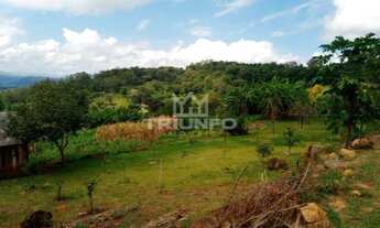 Imagem 3: Sítio Chácara com venda por R$259.000