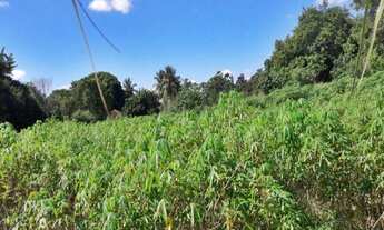 Imagem 6: Itaguaí - Terreno Padrão - Santa Cândida