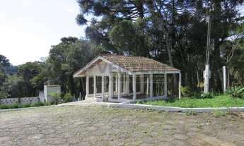 Imagem 2: SAO JOSE DOS PINHAIS - Chácara - Colônia Murici