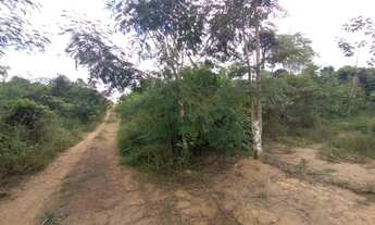 Imagem 6: Chácara a 7 km da fábrica da coca cola na estrada do Areia Branca