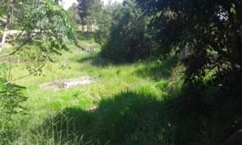 Imagem 3: Sítio à venda, 2 quartos, 1 suíte, Águas Claras - Viamão/RS