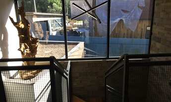 Imagem 4: GRAMADO - Casa Padrão - Vale das colinas