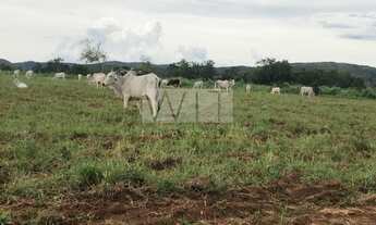 Imagem 6: Fazenda - Centro - Paranatinga