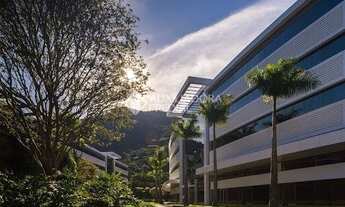 Imagem 2: FLORIANóPOLIS - Conjunto Comercial/Sala - João Paulo