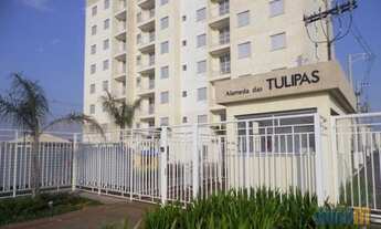 Imagem: Canoas - Padrão - Igara